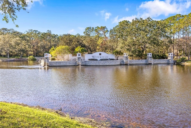 property view of water