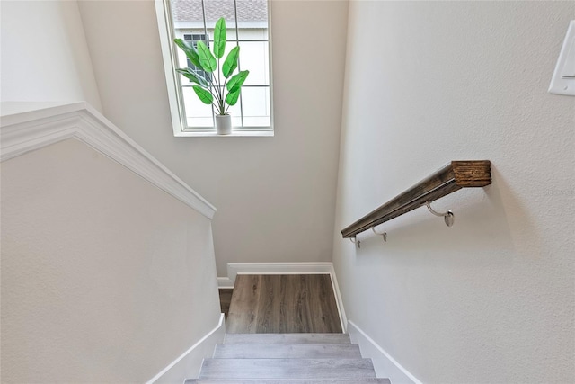 staircase with hardwood / wood-style flooring