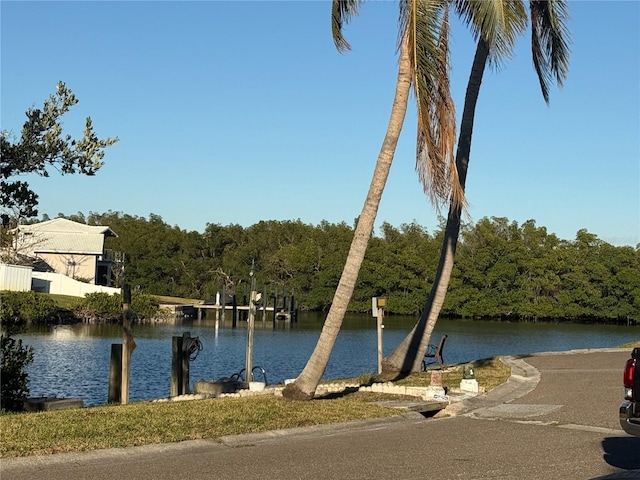 property view of water