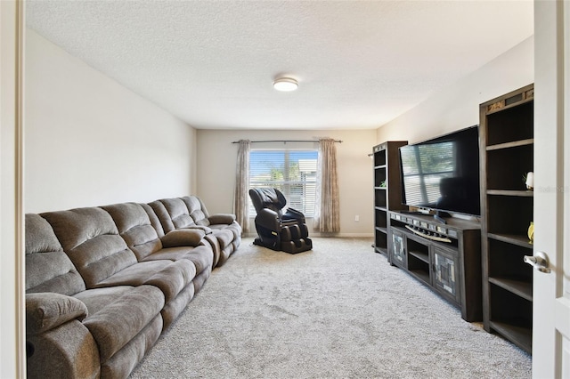 carpeted living room with a textured ceiling