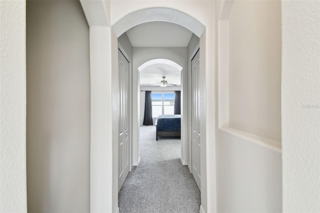 hallway with carpet flooring