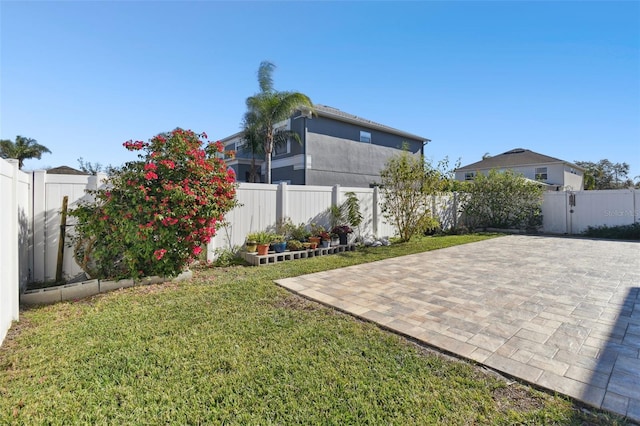 view of yard featuring a patio area