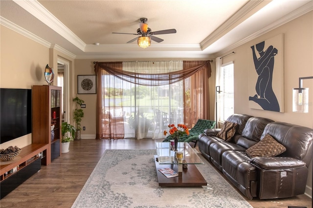 living room featuring crown molding, a tray ceiling, and dark wood-type flooring