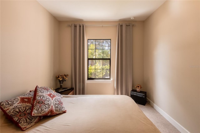 bedroom with carpet floors