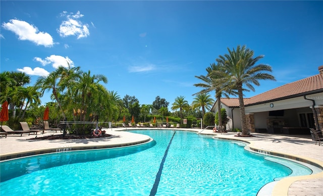 view of swimming pool with a patio