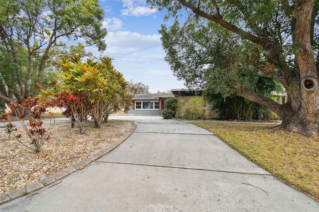 1824 Southwood Ln, Clearwater, FL 33764 - photo 2