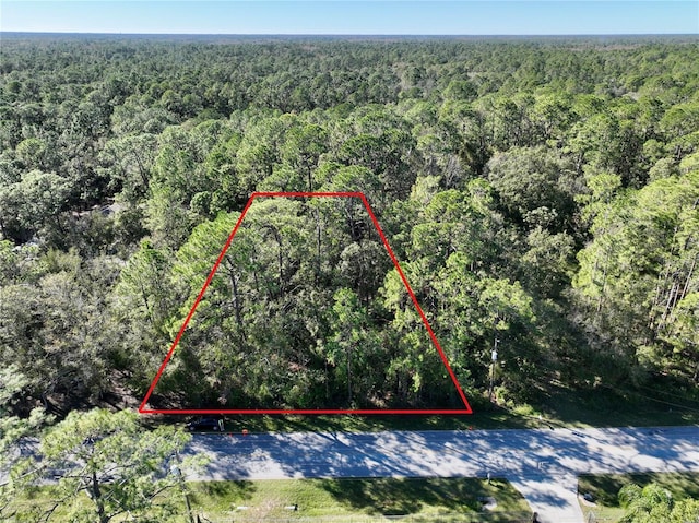 W Dr, Zephyrhills FL, 33544 land for sale