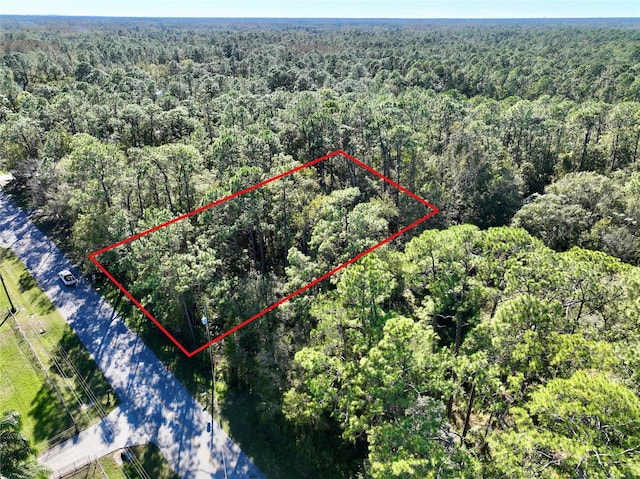 W Dr, Zephyrhills, FL 33544 - photo 16