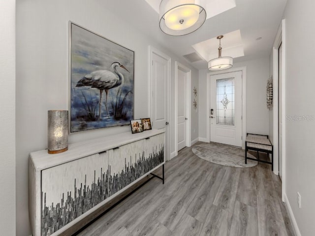 entrance foyer with a raised ceiling and light hardwood / wood-style flooring