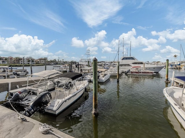 dock area featuring a water view