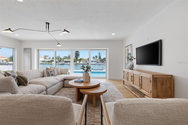 living room featuring a healthy amount of sunlight, light hardwood / wood-style flooring, and a textured ceiling