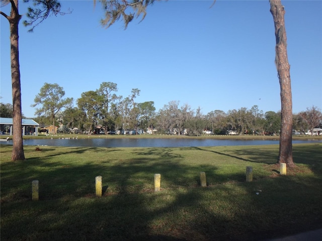 view of community featuring a water view and a lawn