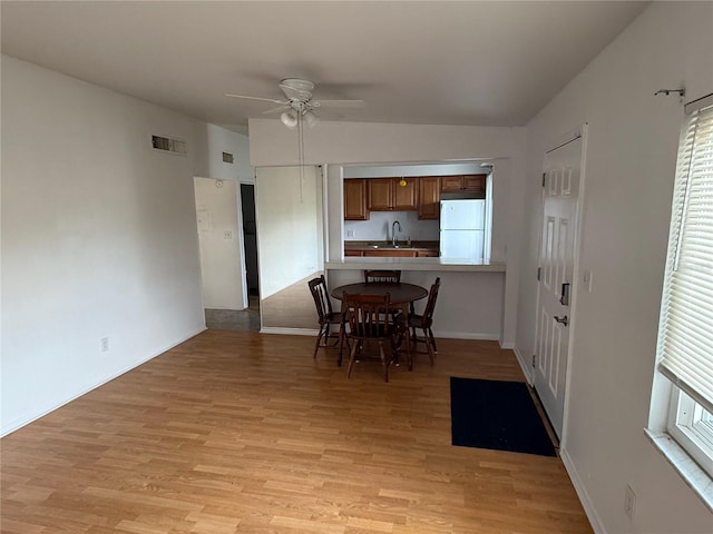 dining space with sink, a wealth of natural light, ceiling fan, and light hardwood / wood-style flooring