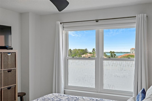 bedroom featuring a water view