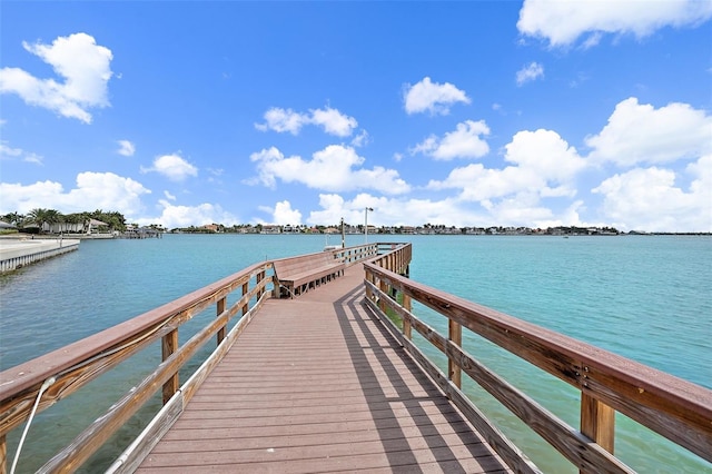 dock area with a water view