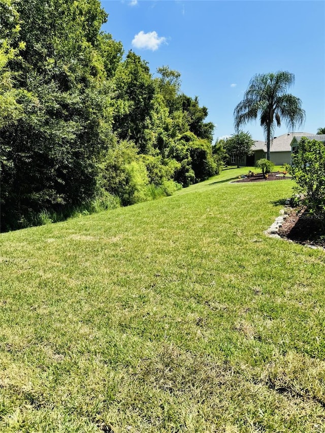 3379 Fiddle Leaf Way, Lakeland, FL 33811 - photo 19
