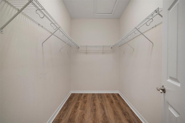 spacious closet featuring dark hardwood / wood-style flooring