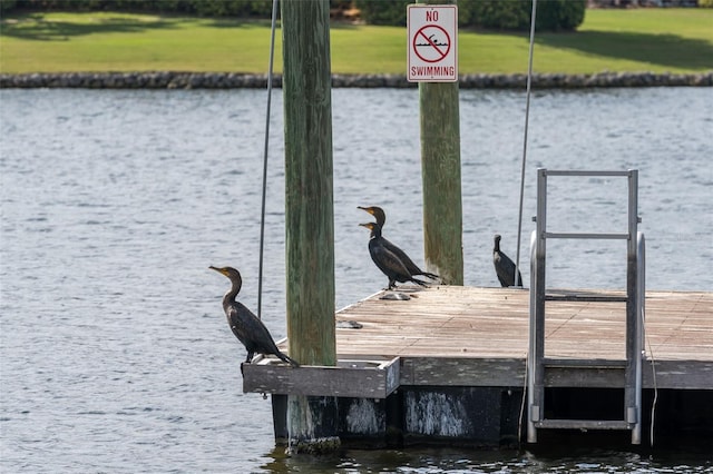 view of dock featuring a water view