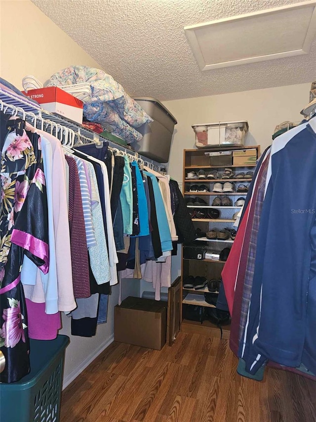 spacious closet featuring dark hardwood / wood-style flooring