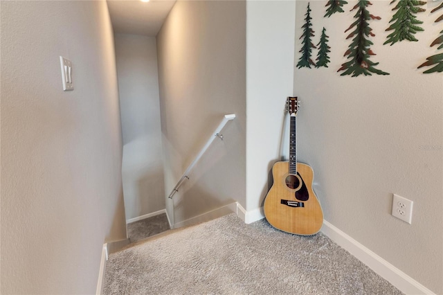 staircase featuring carpet