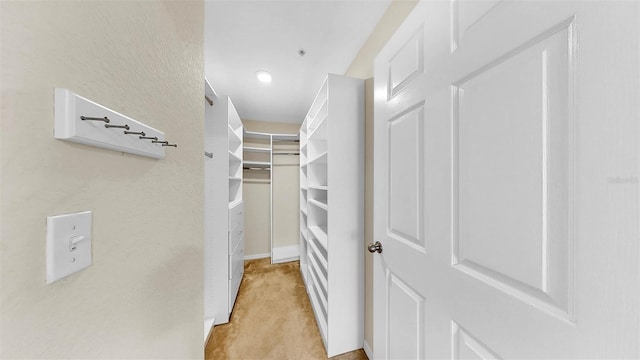 700 S Harbour Island Blvd Unit 226, Tampa, FL 33602 - walk in closet featuring light carpet