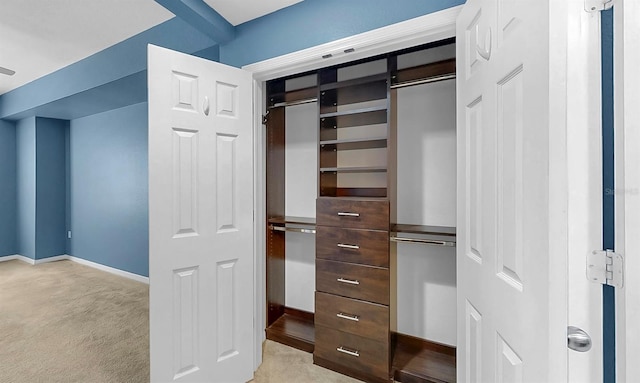 700 S Harbour Island Blvd Unit 226, Tampa, FL 33602 - view of closet
