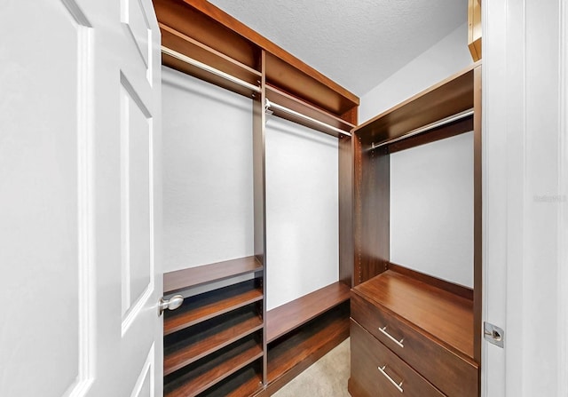 700 S Harbour Island Blvd Unit 226, Tampa, FL 33602 - view of spacious closet