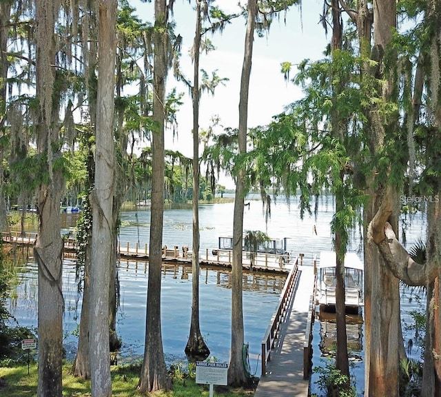 dock area featuring a water view