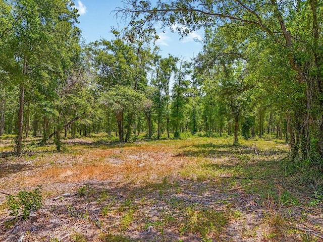 Castlewood Rd, Seffner, FL 33584