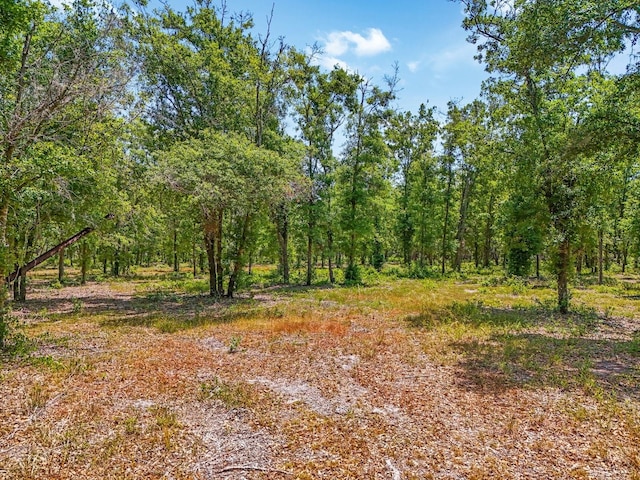 Castlewood Rd, Seffner, FL 33584
