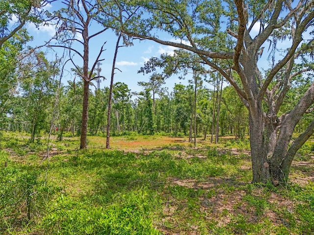 Castlewood Rd, Seffner, FL 33584