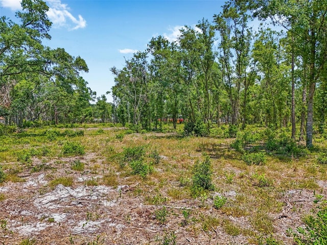 Castlewood Rd, Seffner, FL 33584