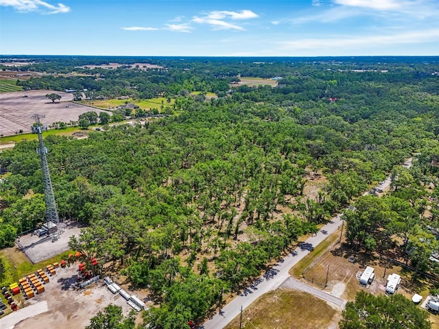 Castlewood Rd, Seffner, FL 33584