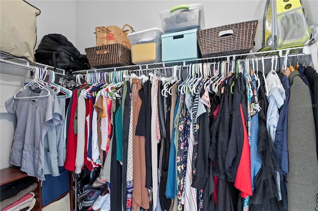 view of spacious closet