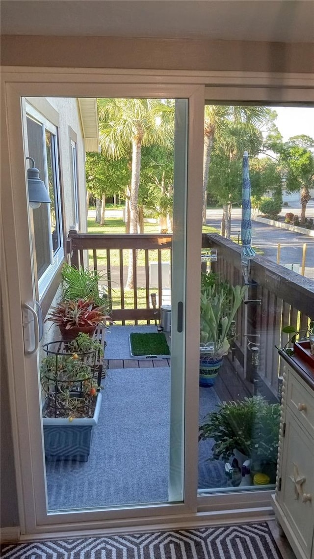 entryway featuring a healthy amount of sunlight