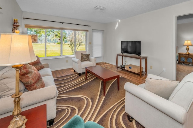 living room featuring hardwood / wood-style floors and a textured ceiling