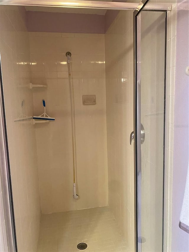 bathroom with a shower with shower door