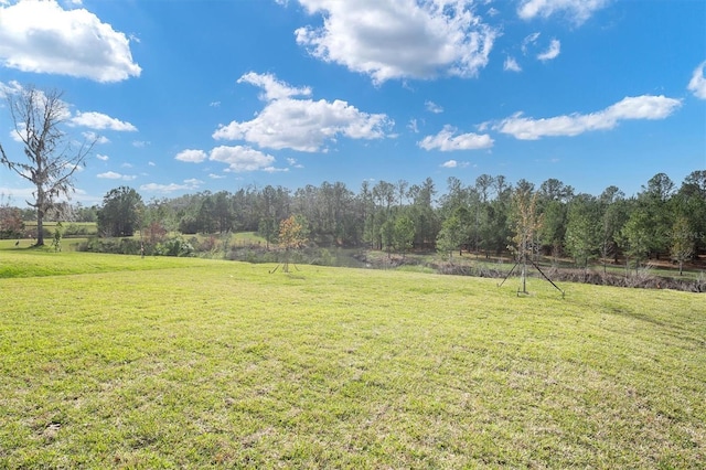 view of yard with a rural view