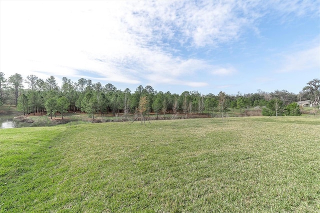 view of yard featuring a rural view