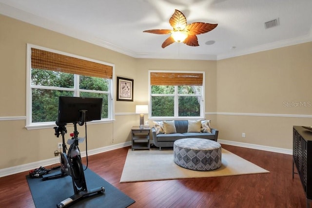 workout area featuring ceiling fan, dark hardwood / wood-style flooring, and ornamental molding