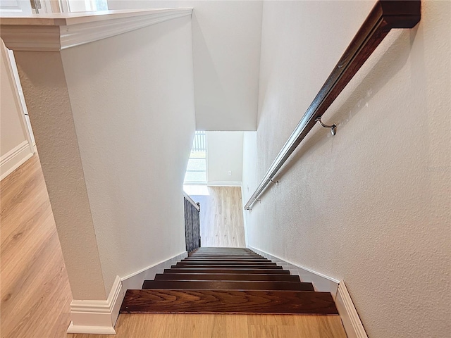 staircase with wood-type flooring and a wealth of natural light