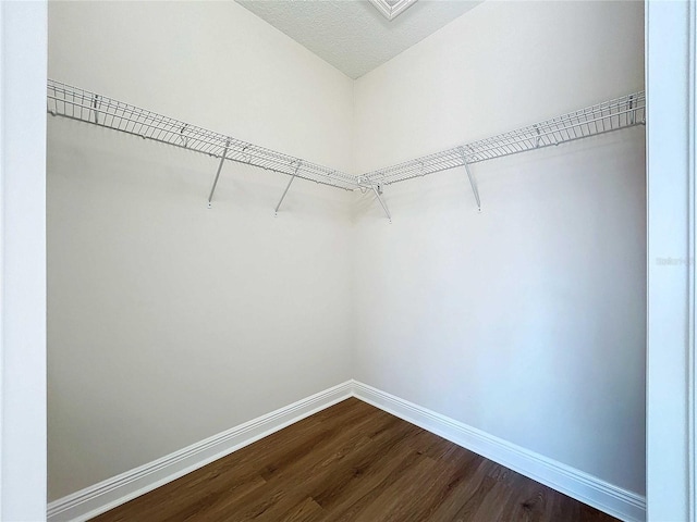 spacious closet featuring hardwood / wood-style floors