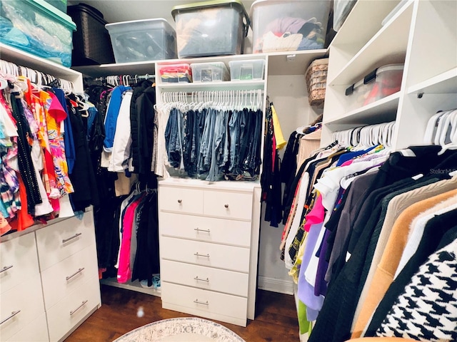 walk in closet featuring dark hardwood / wood-style flooring