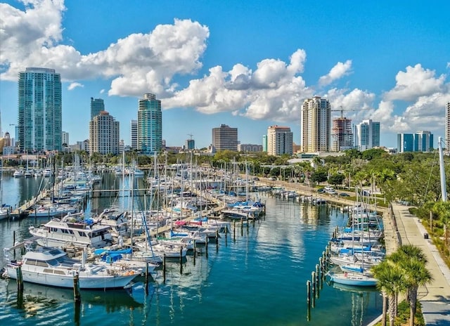 property view of water featuring a dock