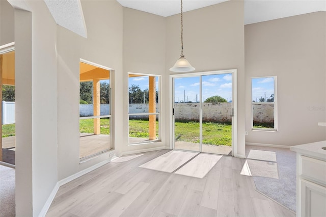 interior space with plenty of natural light, light hardwood / wood-style floors, and a towering ceiling