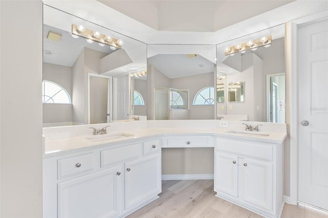 bathroom featuring wood-type flooring, vanity, and walk in shower