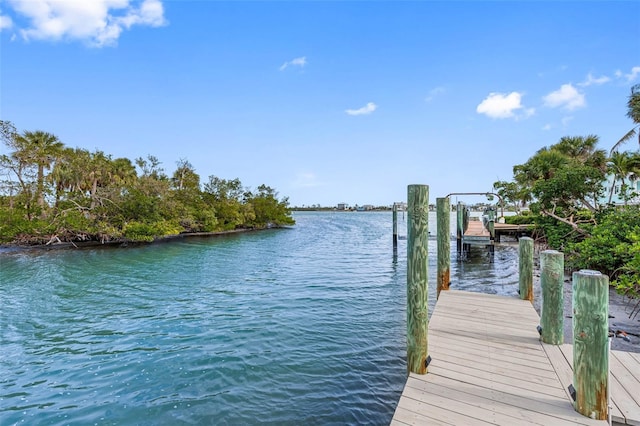 dock area with a water view