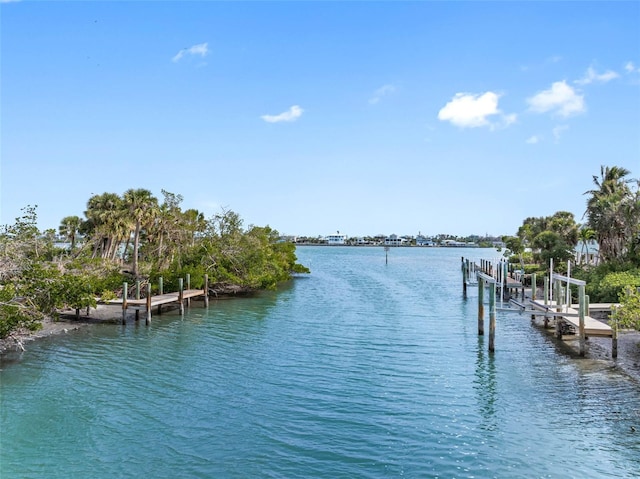 dock area with a water view