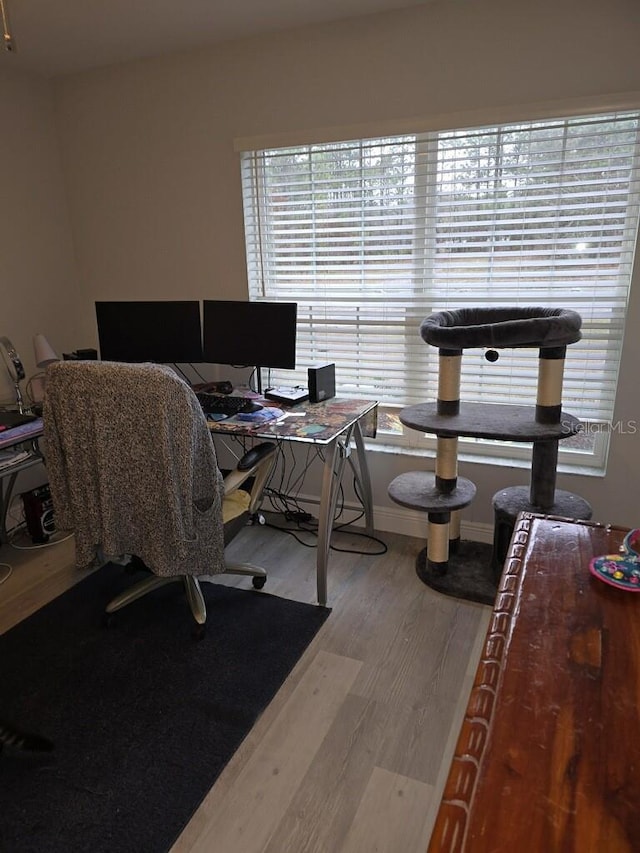 office featuring a healthy amount of sunlight and hardwood / wood-style flooring