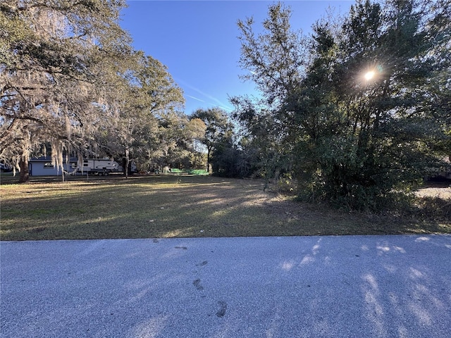 Listing photo 2 for SW 202nd Ter, Dunnellon FL 34431